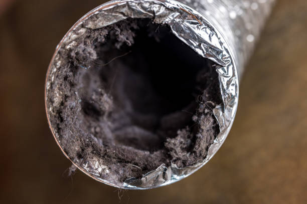 Best Affordable HVAC Duct Cleaning  in Tahoe Vista, CA