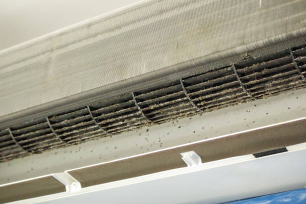Best HVAC Maintenance and Cleaning  in Tahoe Vista, CA